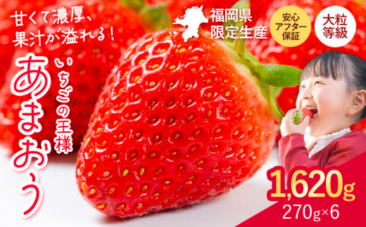 ★2027年出荷分★いちご あまおう 大容量産あまおう 1620g 【着日指定不可】《2月中旬-3月中旬頃出荷》 いちご