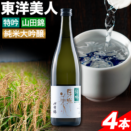 日本酒 新酒 東洋美人 特吟 山田錦 純米大吟醸 4本 計2880ml 1本あたり 720ml 福岡吟醸倶楽部株式会社《30日以内に出荷予定(土日祝除く)》福岡県 鞍手郡 鞍手町 酒 冷酒 送料無料