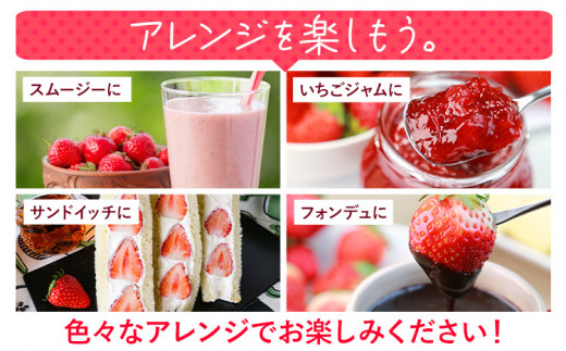 ★2027年出荷分★いちご あまおう 大容量産あまおう 540g 【着日指定不可】《2月中旬-3月中旬頃出荷》 いちご 