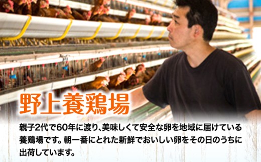 å³å®åµäœ¿çš åµé»ã®ã¿ ããŸãå±ããã®æ¿å ããšããŒãº 300g 2æ¬ éäžé€é¶å Žã60æ¥ä»¥å
ã«åºè·äºå®(忥ç¥é€ã)ãçŠå²¡ç éæçº å³å®åµ åµé» æ¿å ããšããŒãº ããš ãµã©ã ãã£ãã ããŒã¹ã äžèœ èª¿å³æ
