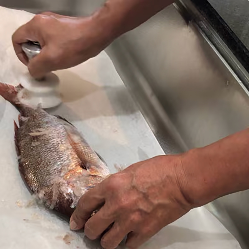 ストレスフリーなBM式うろこ取り《30日以内に出荷予定(土日祝除く)》有限会社BMエンジニアリング 鱗取り うろこ取り 魚 料理 調理器具
