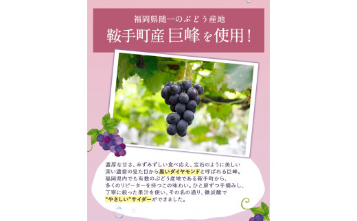 蟾ィ蟲ー繧オ繧、繝繝シ 250mlテ12譛ャ縲30譌・莉・蜀縺ォ蜃コ闕キ莠亥ョ(蝨滓律逾晞勁縺)縲九カ縺ゥ縺 繝輔Ν繝シ繝 繧オ繧、繝繝シ 鬟イ譁