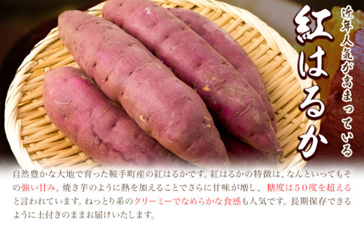 蜴ウ驕ク 邏縺ッ繧九° 3kg 縺励g縺縺溯セイ蝨偵12譛井ク頑流-3譛域忰鬆蜃コ闕キ縲狗ヲ丞イ。逵 髷肴焔逕コ 邏縺ッ繧九° 縺輔▽縺セ縺繧 闃 縺繧 繧、繝「 繧オ繝繝槭う繝「