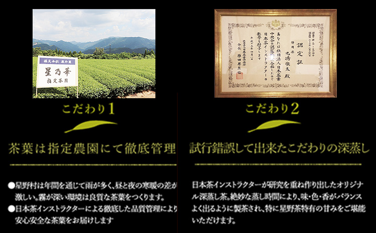 八女茶 八女ほうじ茶 ティーバッグ 3g×200個(福岡県八女産) 株式会社親和園《30日以内に出荷予定(土日祝除く)》福岡県 鞍手郡 鞍手町 お茶 ほうじ茶 ティーパック ティーバッグ 八女茶 送料無料