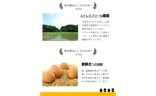 【定期便】計3回お届け 朝獲れ卵 味宝卵 (計90個) 30個×3回お届け 卵 Lサイズ 鶏卵 《お申込み翌月から出荷》福岡 卵 Lサイズ 鶏卵