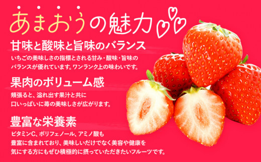 ★2027年出荷分★いちご あまおう 大容量産あまおう 1080g 【着日指定不可】《2月中旬-3月中旬頃出荷》 イチゴ　苺