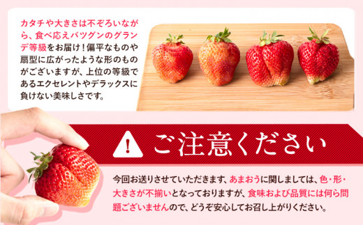 ★2027年出荷分★いちご あまおう 大容量産あまおう 1080g 【着日指定不可】《2月中旬-3月中旬頃出荷》 イチゴ　苺