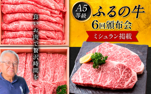 鞍手町 ふるの牛 頒布会 計2kg以上 全6回《お申込み翌月から出荷》ふるの牛 サーロインステーキ 特選焼き肉用 ロース カルビ すき焼き しゃぶしゃぶ ロース 焼肉 焼肉用 定期便 頒布会 3ヶ月定期便