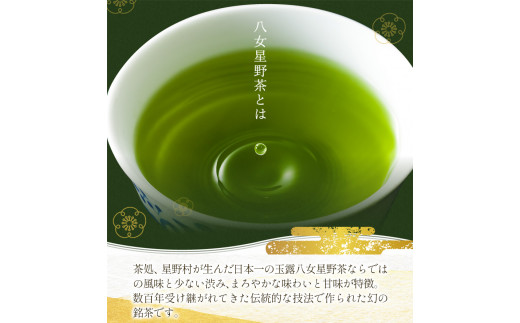八女茶 煎茶ティーバッグ 計200パック (3g×100パック入り×2袋) 株式会社親和園《30日以内に出荷予定(土日祝除く)》お茶 緑茶 茶 八女星野茶 ティーパック ティーバッグ 八女茶