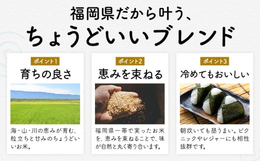 【12ヶ月定期便】米 ふくおかみのり米 選べる10kg 定期便白米 《お申込み翌月から出荷》お米  ブレンド米 