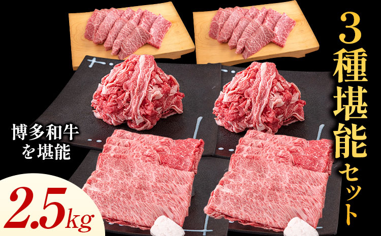 博多和牛 ３種堪能セット 2.5kg 計6パック 《30日以内に出荷予定(土日祝除く)》