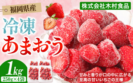 福岡県産 冷凍あまおう 小分けパック 1kg(250g×4袋) 株式会社木村食品《30日以内に出荷予定(土日祝除く)》福岡県 鞍手町 冷凍あまおう いちご 冷凍フルーツ 果物 送料無料