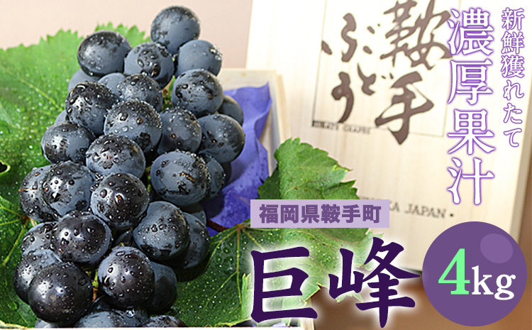 巨峰 4kg(約8〜10房)[8月中旬-9月下旬頃出荷]ぶどう 営農センター フルーツ