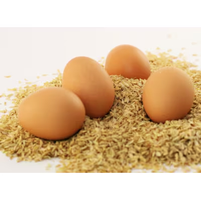 朝獲れ卵 味宝卵 (80個) 卵 Lサイズ 鶏卵《90日以内に出荷予定(土日祝除く)》