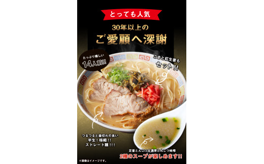 博多ラーメン 14人前 株式会社フーデリジェンス《30日以内に出荷予定(土日祝除く)》 ラーメン
