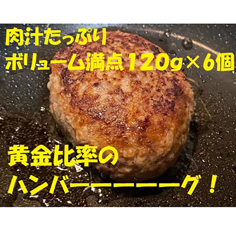 黒毛和牛×黒豚使用！九州うまれの特製手ごねハンバーグ 120g×6個 計720g《30日以内に出荷予定(土日祝除く)》生ハンバーグ 一つずつ個包装 MK エム・ケイ食品