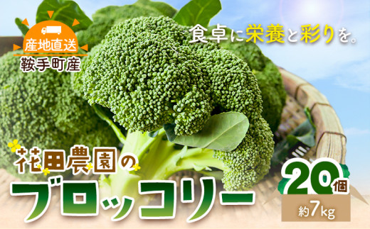 ブロッコリー 花田農園 の ブロッコリー 20個 花田農園 《11月下旬-3月末頃出荷》福岡県 鞍手町 ぶろっこりー 野菜 ブロッコリー 産地直送 送料無料