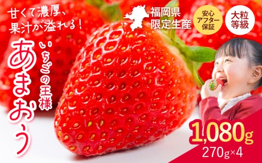 ★2027年出荷分★いちご あまおう 大容量産あまおう 1080g 【着日指定不可】《2月中旬-3月中旬頃出荷》 イチゴ　苺
