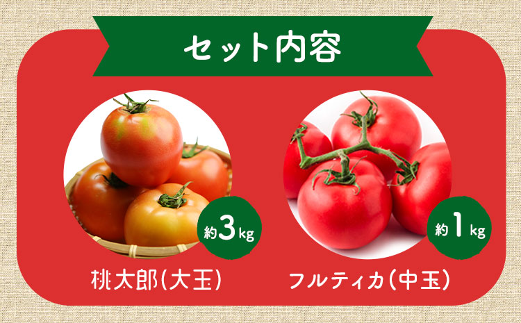 トマト2種の詰め合わせセット 約4kg 花田農園《6月上旬-7月末頃出荷》野菜 トマト 送料無料 福岡県 鞍手町