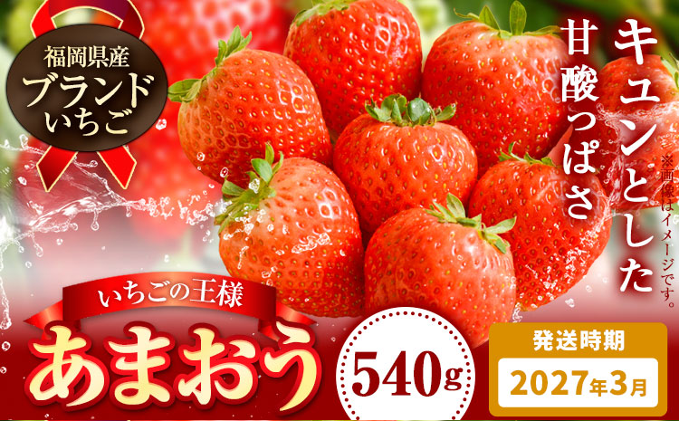 いちご あまおう 先行予約 いちご 大量 540g フルーツ《2027年3月上旬-3月末頃出荷》苺 旬 くだもの 果物 福岡県 鞍手町【配送不可地域あり】