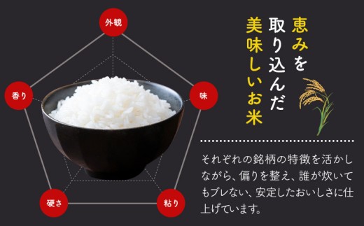 【12ヶ月定期便】米 ふくおかみのり米 選べる10kg 定期便白米 《お申込み翌月から出荷》お米  ブレンド米 