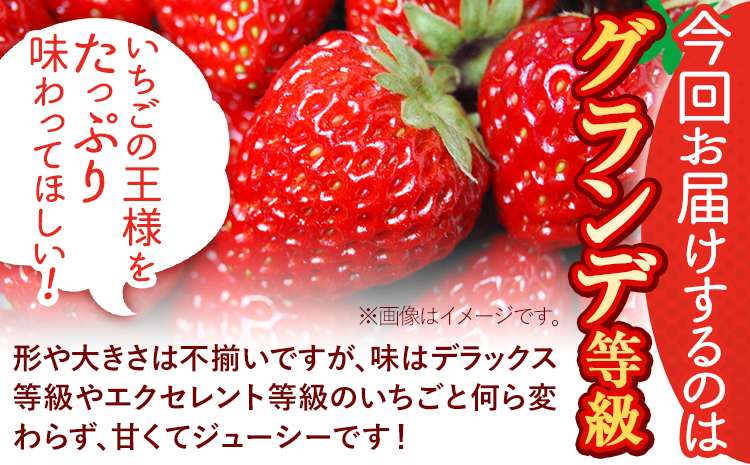 ã3ã¶æå®æäŸ¿ããã¡ã ããŸãã å
è¡äºçŽ ãã¡ã 倧é 540g å®æäŸ¿ ãã«ãŒãã2027幎1æããåºè·éå§ãèº æ¬ ãã ãã® æç© çŠå²¡ç éæçºãé
éäžå¯å°åããã
