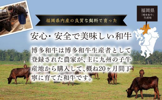 3G26-S お肉屋さんの手ごね特上ハンバーグ博多和牛入り　1400ｇ