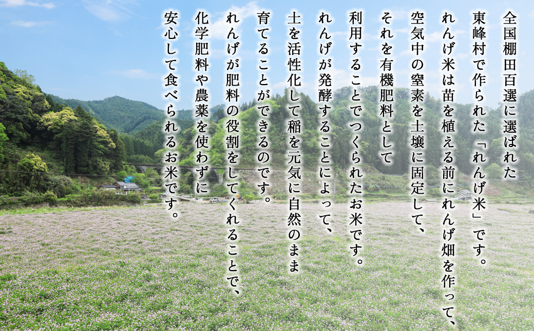 AB1-S1 譚ア蟲ー譚代ョ貉ァ縺肴ーエ縺ァ菴懊▲縺溘梧擲蟲ー譚代l繧薙£邀ウ(螟「縺、縺上@)縲5ス具ス