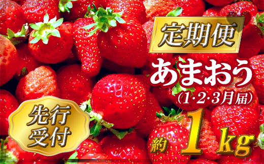 2G3【先行予約】福岡県産「あまおう」定期便３回お届け　（１月・２月・３月）