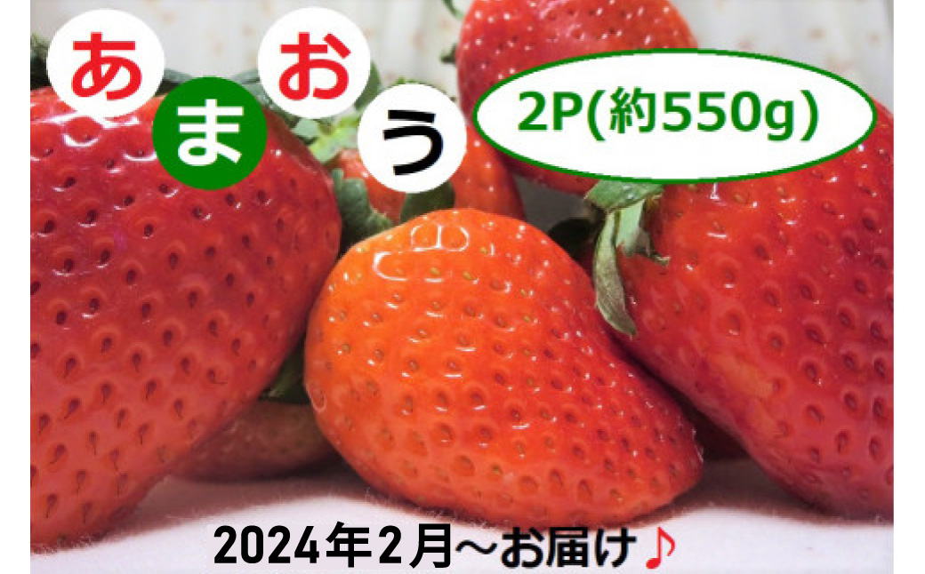 2G1[先行予約]福岡県産「あまおう」2P 〜2024年2月からお届け〜