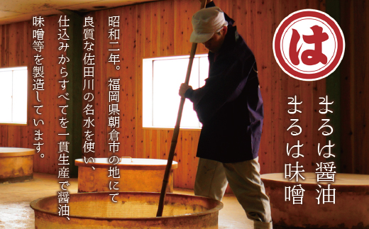 4A16 博多もつ鍋セット(九州醤油仕立て) 2〜3人前 国産牛もつ300g