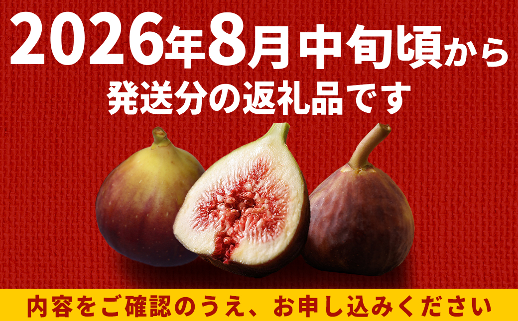 福岡県ブランド いちじく「とよみつひめ」約1.2ｋｇ(約300ｇ×4パック) イチジク 無花果 国産 フルーツ 果物 食物繊維 美容 送料無料 3S2