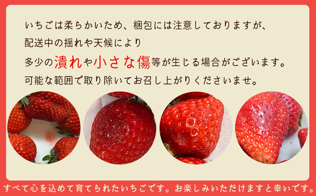 2J11 JAむなかた直送！食べきりサイズ「博多あまおう」約180g×8パック