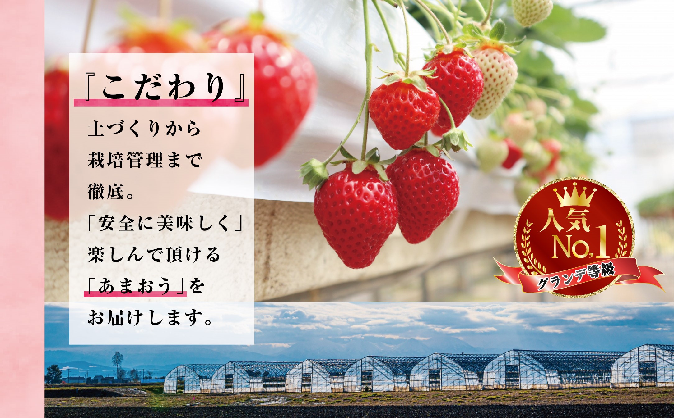 3S1　福岡県産　あまおう約1,080ｇ（約270ｇ×4パック）