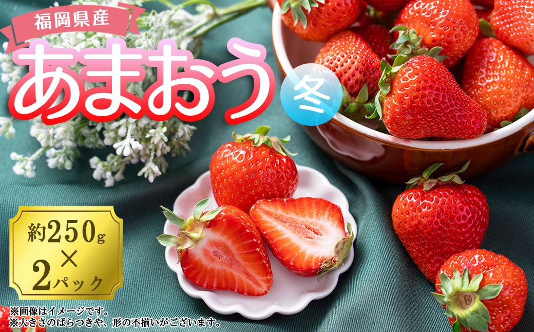 3V1 【先行予約】【冬】福岡産あまおう2パック