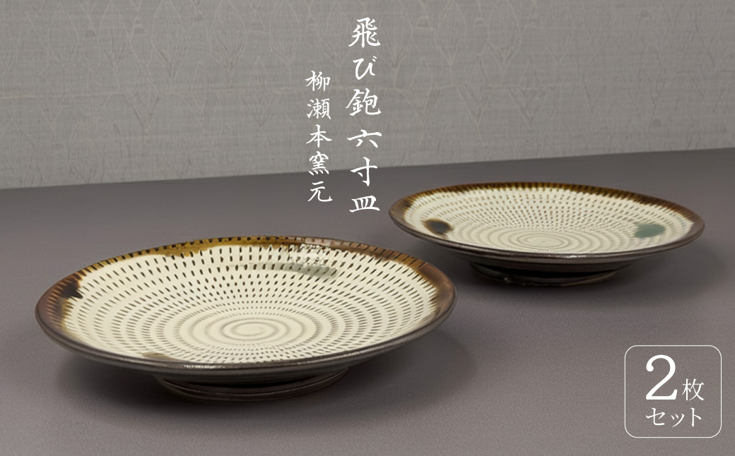 FJ4 【柳瀬本窯元】飛び鉋六寸皿２枚組