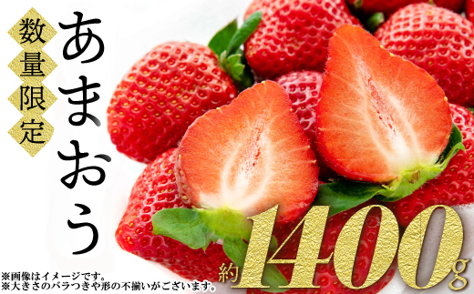 2S1 　福岡県産「あまおう」1400ｇ（280ｇ×5ｐ）【数量限定】