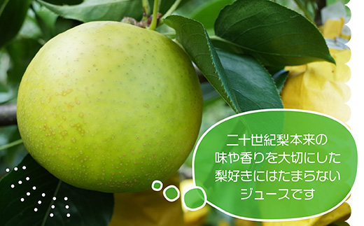 Ｑ２【やなファーム】二十世紀梨ジュース（７１０ｍｌ）２本セット