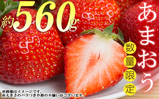 2S3　エコファーマー認定農家直送！福岡県産あまおう【280g×2パック】