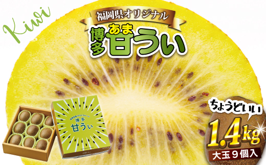 2J9【福岡県産】キウイフルーツ「博多甘うぃ」化粧箱入り約1.4kg