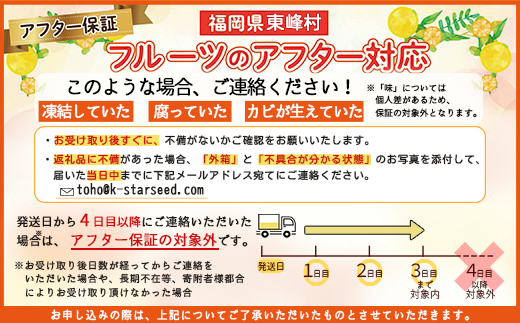 福岡県ブランド いちじく「とよみつひめ」約1.2ｋｇ(約300ｇ×4パック) イチジク 無花果 国産 フルーツ 果物 食物繊維 美容 送料無料 3S2