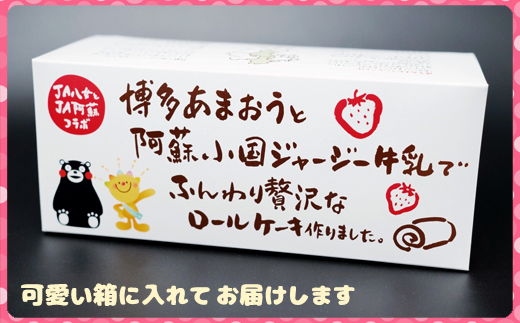 ２Ｈ５　博多あまおうとジャージー牛乳の贅沢ロールケーキ２本セット