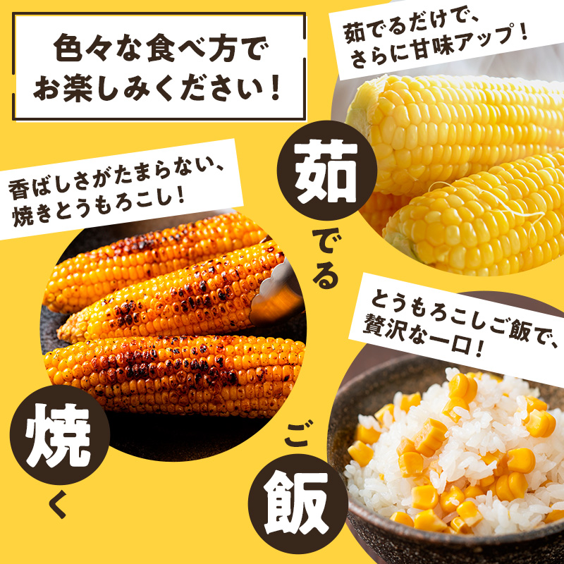 【来年度受付予約：2026年6月より発送】とうもろこし 農家直送！SDGs米糠堆肥で作った環境に優しいメロンより甘い 博多あまっコーン ご家庭用 カット品 4.5キロ以上 (12～20本) /酒見農産/トウモロコシ ※配送不可：離島