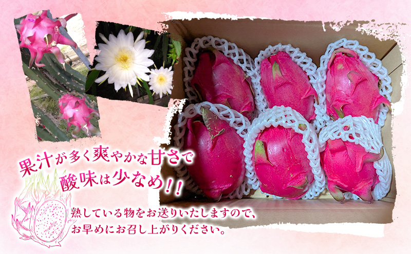 福岡県産 ドラゴンフルーツ レッド 2kg (3～7個) 果物 フルーツ ※配送不可:離島