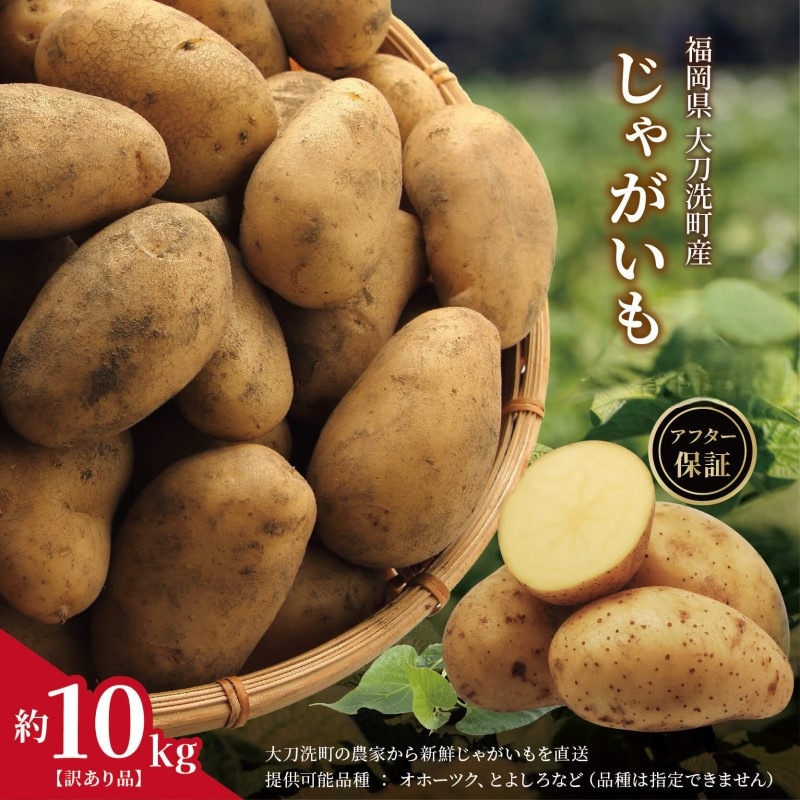 訳あり 福岡県 大刀洗町産 じゃがいも 約10kg 野菜 ジャガイモ