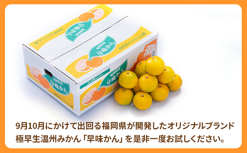 みかん 福岡ブランド みかん・早味かん 約2kg 柑橘 ミカン フルーツ 果物 ※配送不可:離島