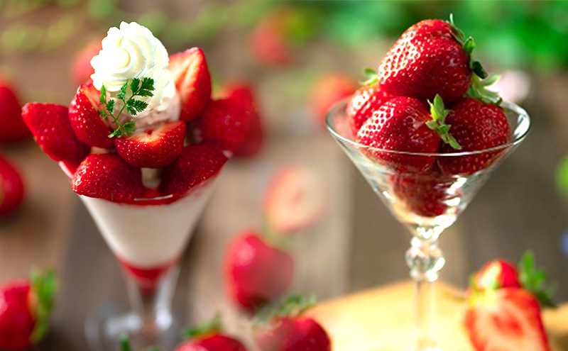 縺縺。縺 遖丞イ。逕」 縺ゅ∪縺翫≧ 繧ョ繝輔ヨ邂アシ12-15邊抵シ 闍コ 繧、繝√ざ 繧ョ繝輔ヨ 繝輔Ν繝シ繝 譫懃黄 窶サ驟埼∽ク榊庄:髮「蟲カ