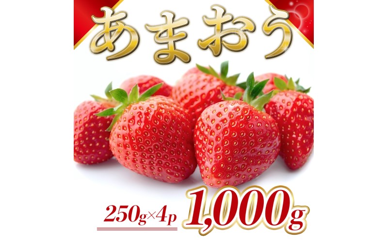 苺 福岡県産 あまおう 1000g（4パック） 先行予約 発送予定：2025年12月より順次発送 いちご イチゴ 果物 ※配送不可:離島