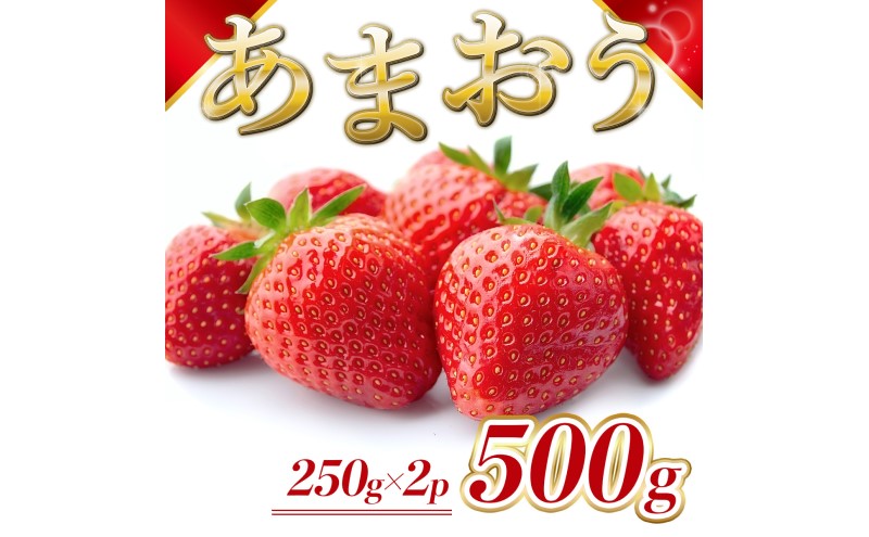 苺 福岡県産 あまおう 500g（2パック） 先行予約 発送予定：2026年2月より順次発送 いちご イチゴ 果物 ※配送不可:離島