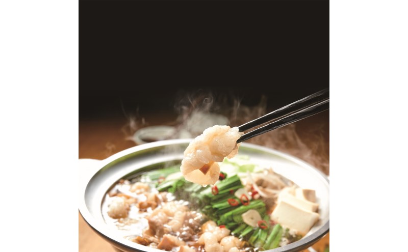 もつ鍋 博多もつ鍋やまや もつ鍋セット あごだし醤油味（1-2人前） もつ 鍋 博多